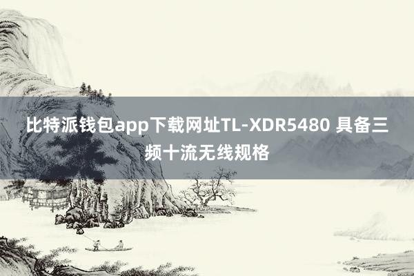 比特派钱包app下载网址TL-XDR5480 具备三频十流无线规格