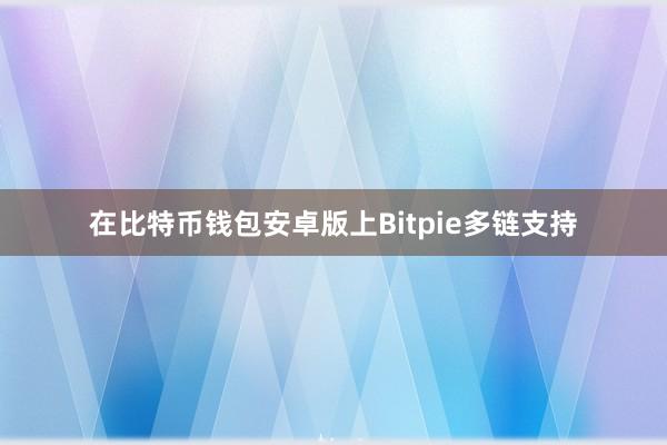 在比特币钱包安卓版上Bitpie多链支持