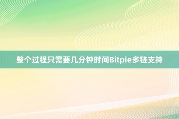 整个过程只需要几分钟时间Bitpie多链支持