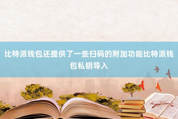 比特派钱包还提供了一些扫码的附加功能比特派钱包私钥导入