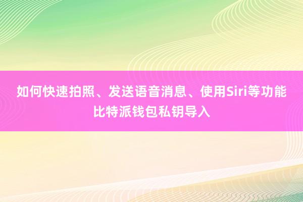 如何快速拍照、发送语音消息、使用Siri等功能比特派钱包私钥导入