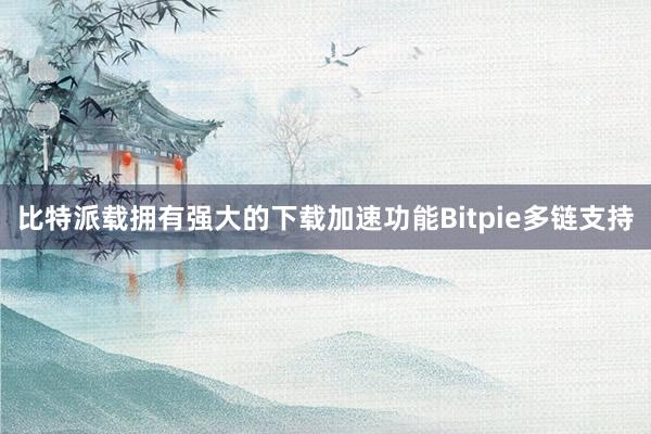 比特派载拥有强大的下载加速功能Bitpie多链支持