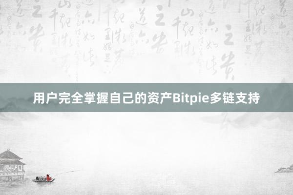 用户完全掌握自己的资产Bitpie多链支持