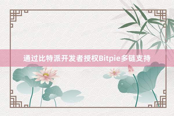 通过比特派开发者授权Bitpie多链支持