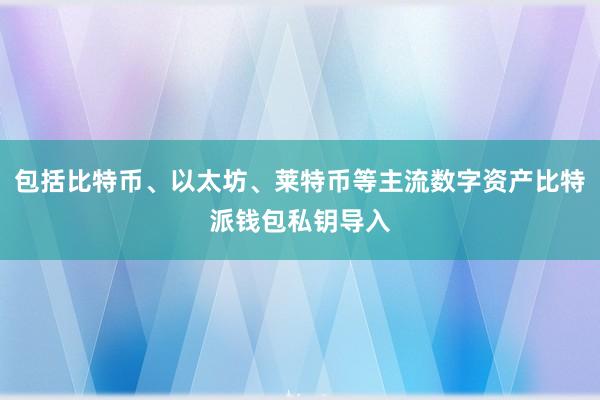 包括比特币、以太坊、莱特币等主流数字资产比特派钱包私钥导入