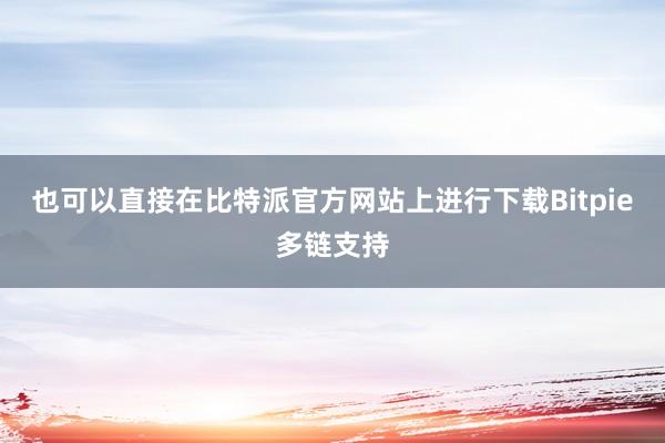 也可以直接在比特派官方网站上进行下载Bitpie多链支持