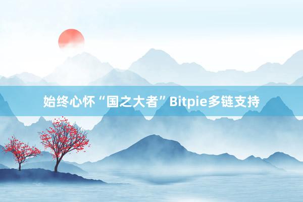 始终心怀“国之大者”Bitpie多链支持