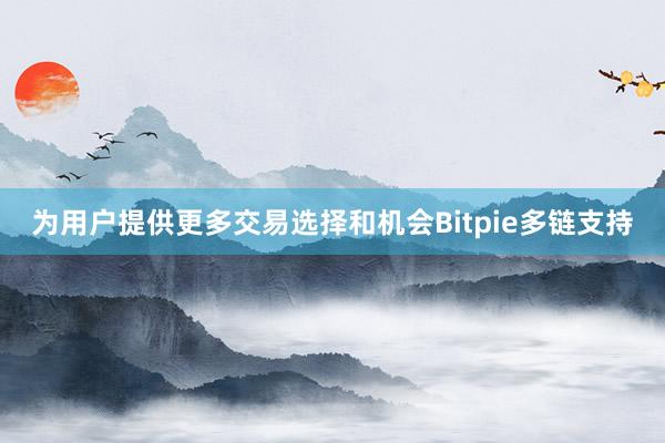 为用户提供更多交易选择和机会Bitpie多链支持