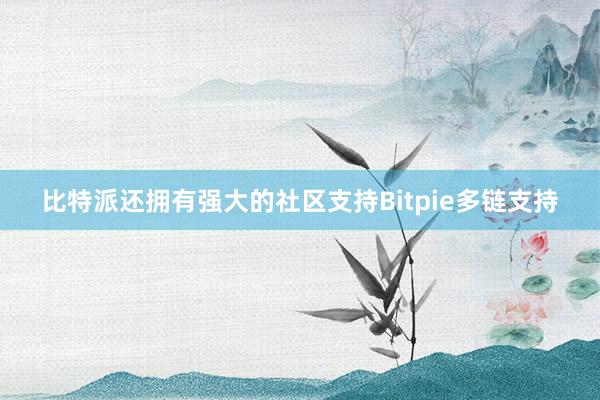 比特派还拥有强大的社区支持Bitpie多链支持