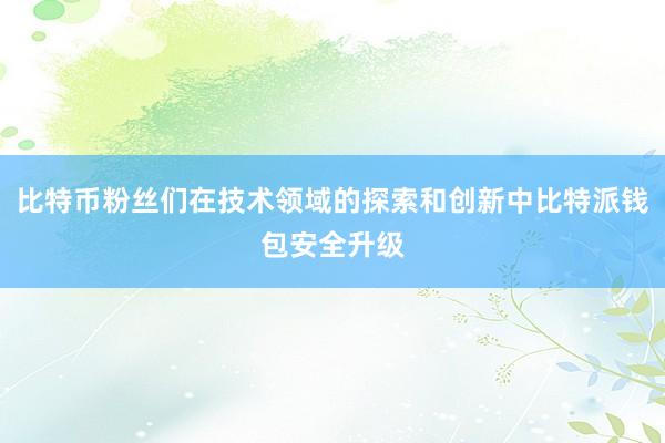 比特币粉丝们在技术领域的探索和创新中比特派钱包安全升级