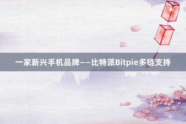 一家新兴手机品牌——比特派Bitpie多链支持