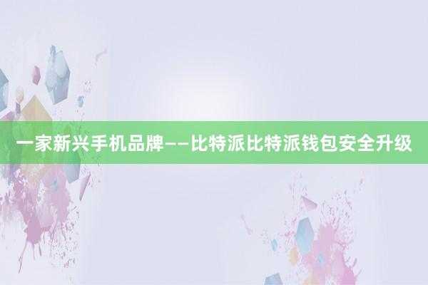 一家新兴手机品牌——比特派比特派钱包安全升级