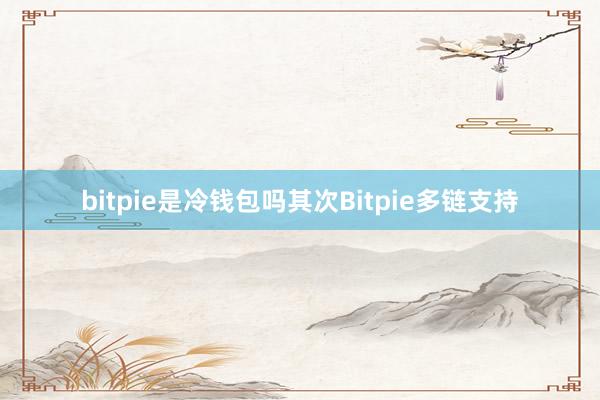 bitpie是冷钱包吗其次Bitpie多链支持