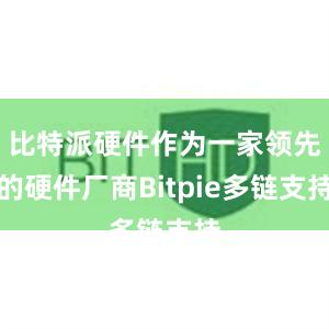 比特派硬件作为一家领先的硬件厂商Bitpie多链支持