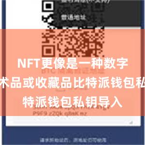 NFT更像是一种数字化的艺术品或收藏品比特派钱包私钥导入