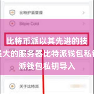 比特币派以其先进的技术和强大的服务器比特派钱包私钥导入