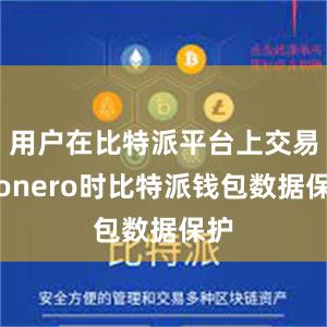 用户在比特派平台上交易Monero时比特派钱包数据保护