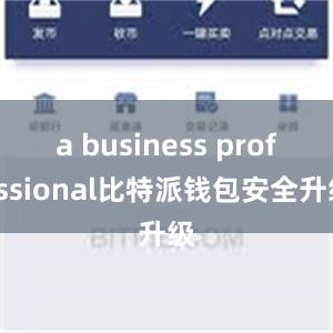 a business professional比特派钱包安全升级